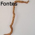 GilFontes